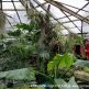Exkurzia botanicka zahrada ba - IMG_20191213_102621