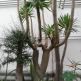 Exkurzia botanicka zahrada ba - IMG_20191213_103229