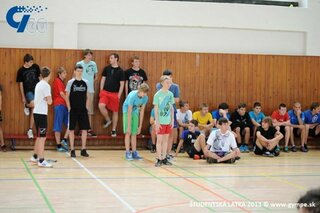 latka2013_419
