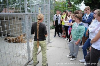 V oáze sibírskeho tigra