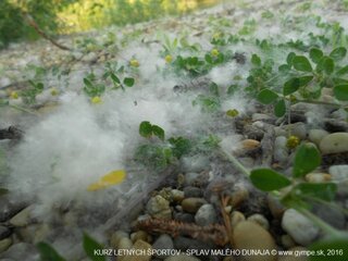 2016-05-splav-dunaja-154