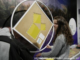 2017-11-aurelium-ba-05