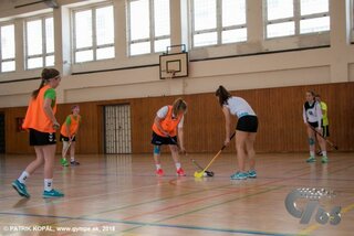 Družobné stretnutie GYMPE-GYMZL-114