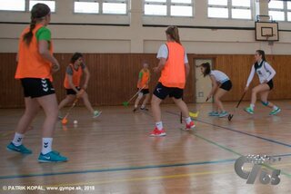 Družobné stretnutie GYMPE-GYMZL-117