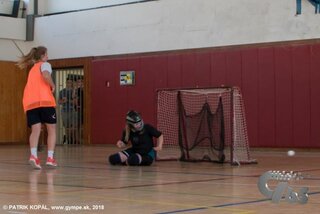 Družobné stretnutie GYMPE-GYMZL-130