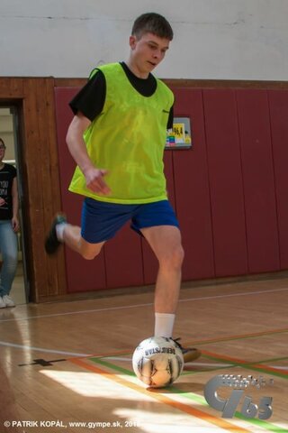 Družobné stretnutie GYMPE-GYMZL-94