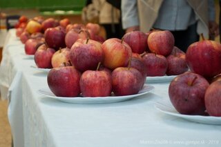 Deň zdravej výživy