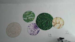 laboratórium biológie