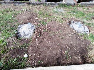 2019-10-urobme-skolu-zelensou-38