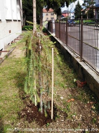 2019-10-urobme-skolu-zelensou-39