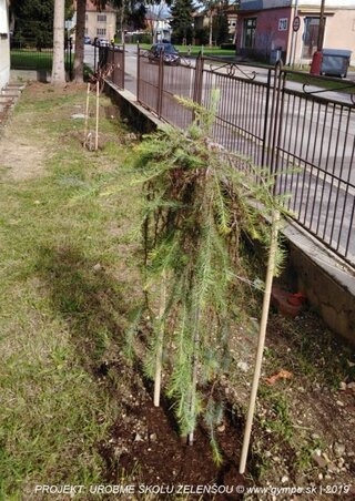 2019-10-urobme-skolu-zelensou-40