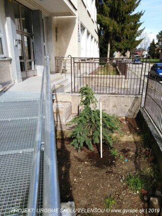 2019-10-urobme-skolu-zelensou-41