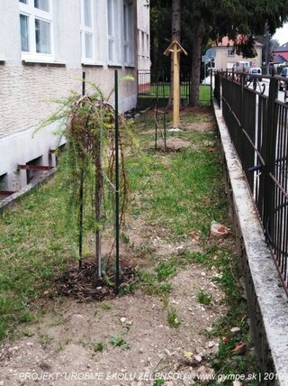 2019-10-urobme-skolu-zelensou-42