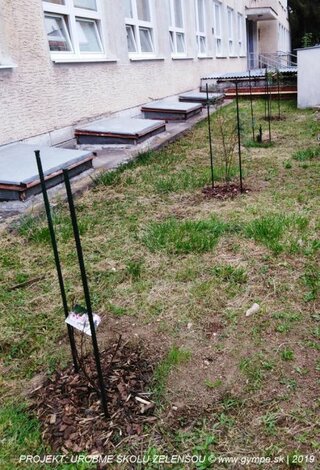 2019-10-urobme-skolu-zelensou-43