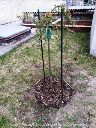 2019-10-urobme-skolu-zelensou-44