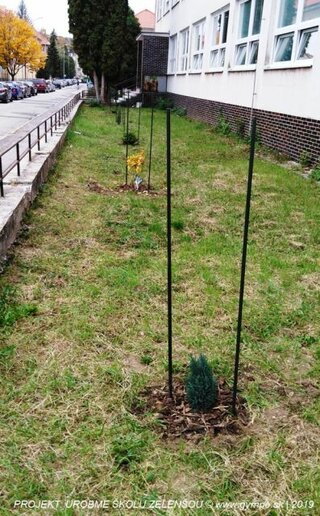 2019-10-urobme-skolu-zelensou-45