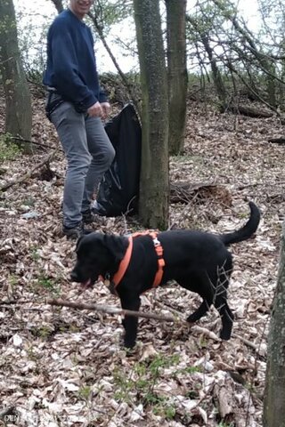 2021-04-22-den-zeme-13