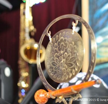 9. ples gymnázia Partizánske