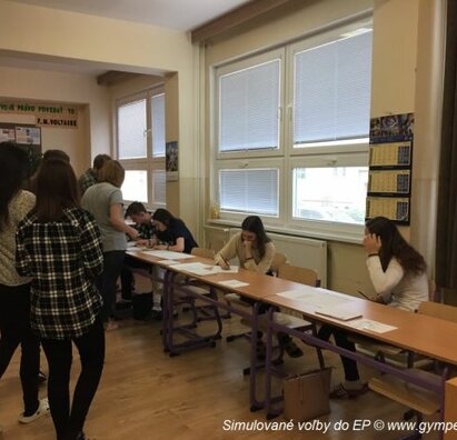 Simulované voľby do EP