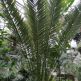 Exkurzia botanicka zahrada ba - IMG_20191213_102042