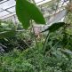 Exkurzia botanicka zahrada ba - IMG_20191213_102938