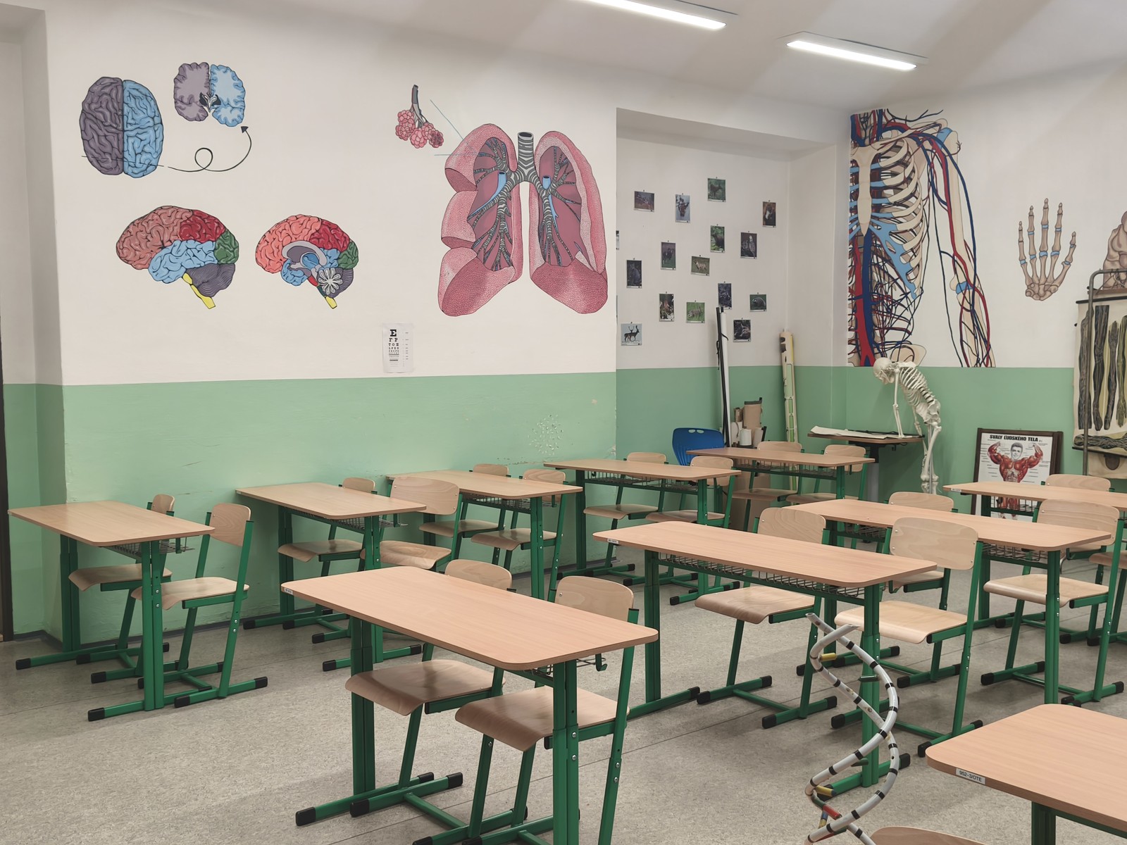 Zväčšiť fotografiu - Gympe