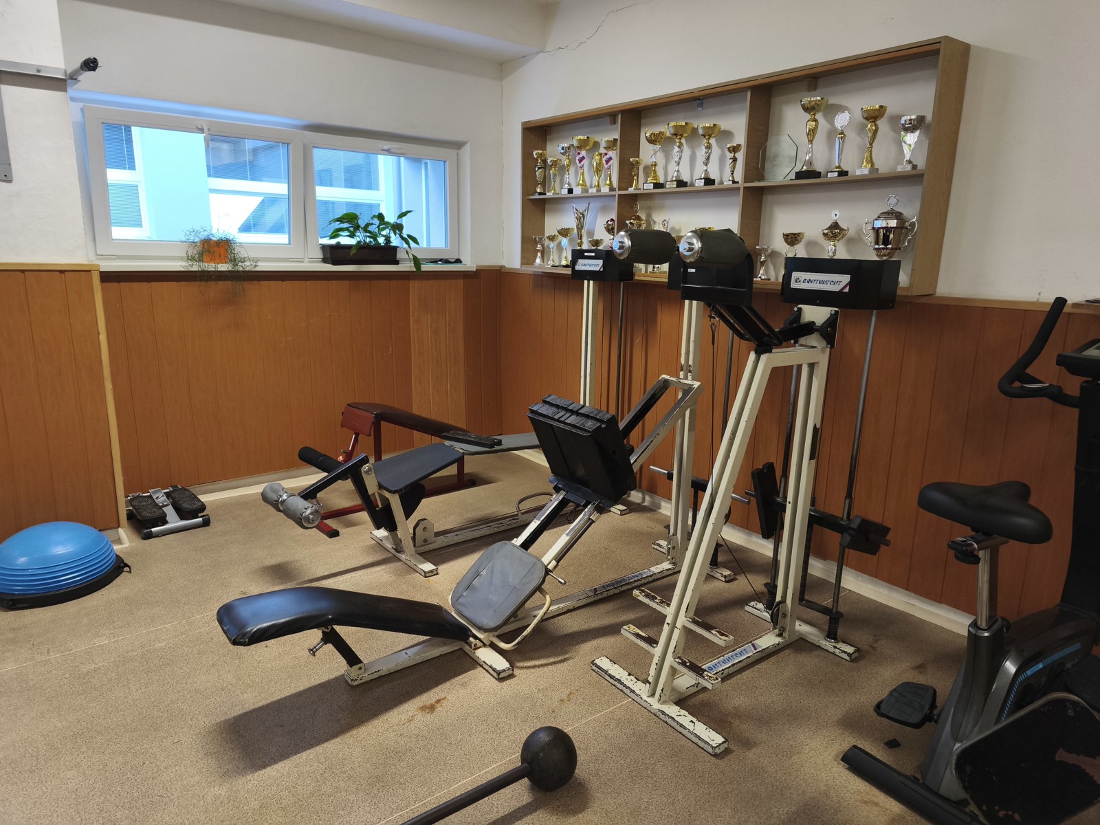 Zväčšiť fotografiu - Gympe